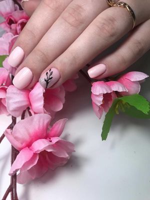 Студия дизайна взгляда Brow time