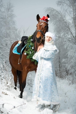 Незабываемые прогулки на лошадях со скидкой до 50% от частной конюшни «Ворожба» Незабываемые прогулки на лошадях со скидкой до 50% от частной конюшни «Ворожба»