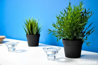 Релакс центр Grand Float