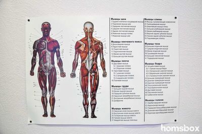 Юлия массаж