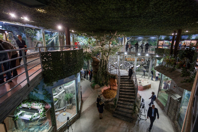 Зимний холод нипочём — в зоопарк с тобой пойдем!  Жаркая акция в Тульском Экзотариуме для родителя и ребёнка вместе с Хомсбокс!