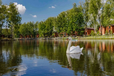 База семейного отдыха в загородном комплексе «Золотая рыбка» со скидкой  50%