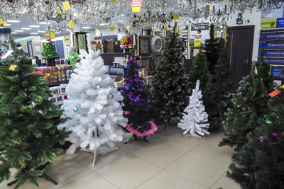 Сеть строительных супермаркетов «Чипак»