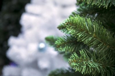 Сеть строительных супермаркетов «Чипак»