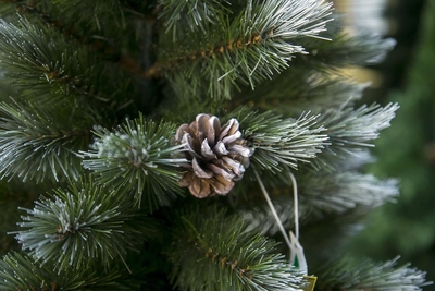 Сеть строительных супермаркетов «Чипак»