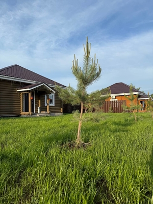 Проведите жаркие деньки в загородном комплексе «Морозко» со скидкой до 53%