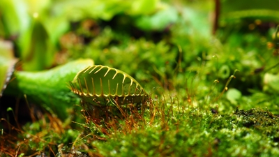 Зимний холод нипочём — в зоопарк с тобой пойдем!  Жаркая акция в Тульском Экзотариуме для родителя и ребёнка вместе с Хомсбокс!