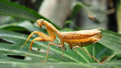 Зимний холод нипочём — в зоопарк с тобой пойдем!  Жаркая акция в Тульском Экзотариуме для родителя и ребёнка вместе с Хомсбокс!
