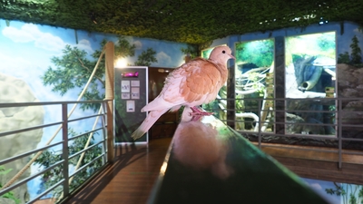 Зимний холод нипочём — в зоопарк с тобой пойдем!  Жаркая акция в Тульском Экзотариуме для родителя и ребёнка вместе с Хомсбокс!