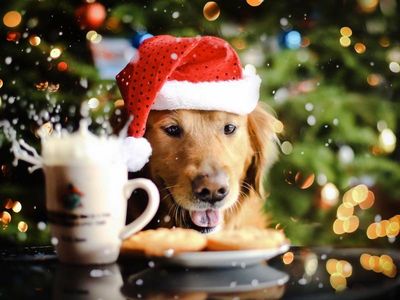 Творчество71