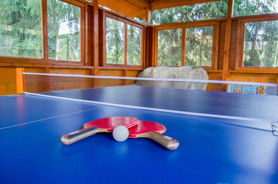 Проведите чудесные деньки в «Берёзовой роще» со скидкой 60%