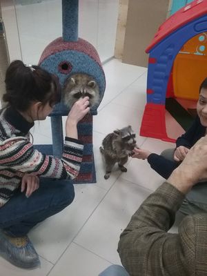 Центр социальной реабилитации  Енотоград