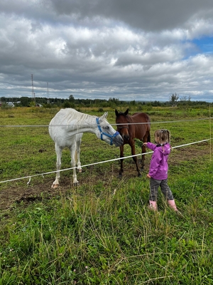 Ворожба, конюшня