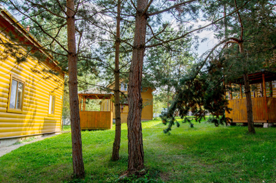 Проведите чудесные деньки в «Берёзовой роще» со скидкой 60%