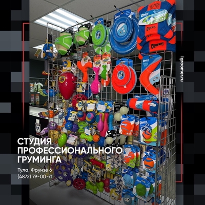 Груминг на фрунзе