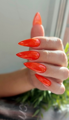 Услуги для ногтей, бровей и ресниц от студии красоты «Mint» со скидками до 48%