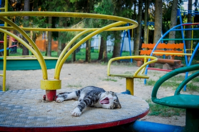 Проведите чудесные деньки в «Берёзовой роще» со скидкой 60% Проведите чудесные деньки в «Берёзовой роще» со скидкой 60%