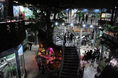 Зимний холод нипочём — в зоопарк с тобой пойдем!  Жаркая акция в Тульском Экзотариуме для родителя и ребёнка вместе с Хомсбокс!