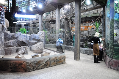 Зимний холод нипочём — в зоопарк с тобой пойдем!  Жаркая акция в Тульском Экзотариуме для родителя и ребёнка вместе с Хомсбокс!