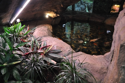 Зимний холод нипочём — в зоопарк с тобой пойдем!  Жаркая акция в Тульском Экзотариуме для родителя и ребёнка вместе с Хомсбокс!