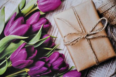 Emma Fashion розничная продажа одежды