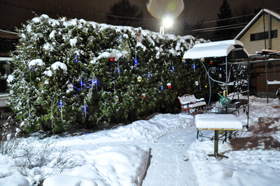 Отдыхаем в комплексе «Crazy веник»! Баня и бассейн со скидкой до 42% Отдыхаем в комплексе «Crazy веник»! Баня и бассейн со скидкой до 42%