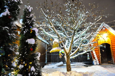 Отдыхаем в комплексе «Crazy веник»! Баня и бассейн со скидкой до 27% Отдыхаем в комплексе «Crazy веник»! Баня и бассейн со скидкой до 27%