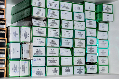 Услуги красоты со скидкой до 80% в салоне «Go-studio»! Услуги красоты со скидкой до 80% в салоне «Go-studio»!