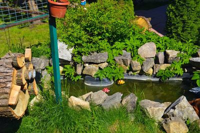 Русская баня в «Crazy веник» (Крейзи веник)