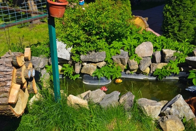 Загораем и отдыхаем в комплексе «Crazy веник»! Баня и бассейн со скидкой до 50% Загораем и отдыхаем в комплексе «Crazy веник»! Баня и бассейн со скидкой до 50%