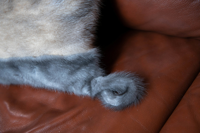 Natural fur, подушки из меха