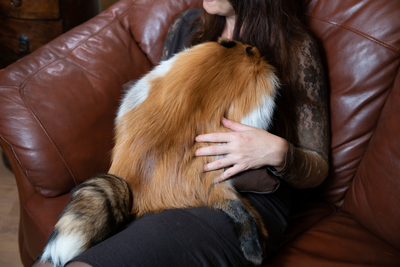 Natural fur, подушки из меха