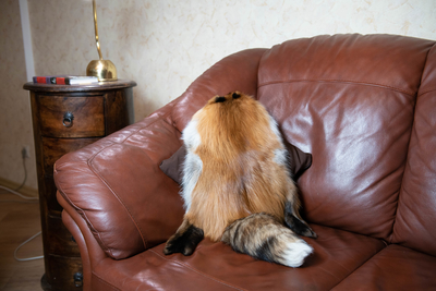 Natural fur, подушки из меха