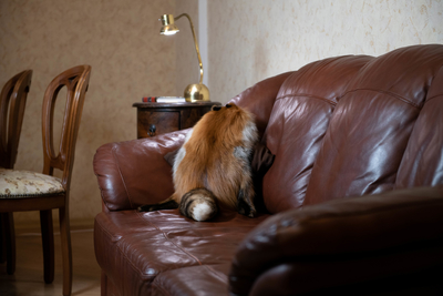 Natural fur, подушки из меха