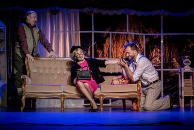 Авантюрная комедия «ЛОВУШКА для одинокого мужчины» со скидкой 30%