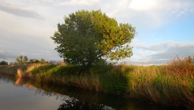 Речной трамвайчик