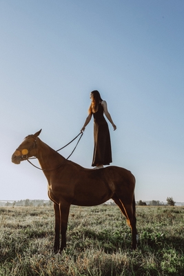 Ворожба, конюшня