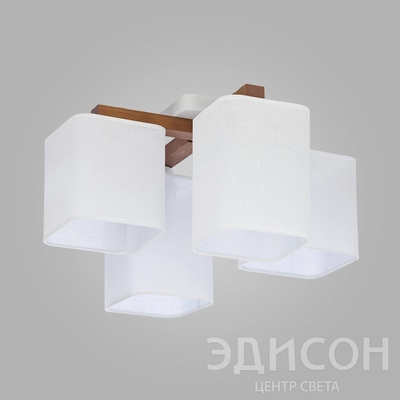 Эдисон — центр света