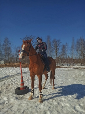 Незабываемые прогулки на лошадях со скидкой до 50% от частной конюшни «Ворожба» Незабываемые прогулки на лошадях со скидкой до 50% от частной конюшни «Ворожба»