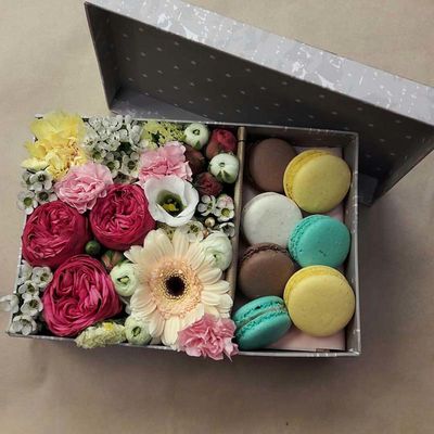 Сеть магазинов Клумба