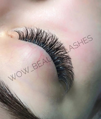 Услуги для ресниц и бровей в студии красоты «WOW BEAUTY LASHES» со скидкой до 50%! Услуги для ресниц и бровей в студии красоты «WOW BEAUTY LASHES» со скидкой до 50%!
