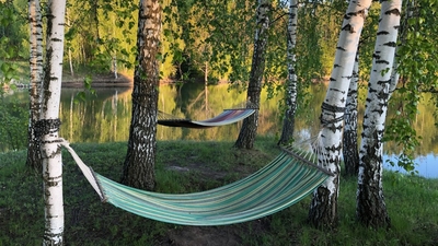 Проживание в апарт-отеле «Усадьба Мордвеза» со скидкой до 72%! Проживание в апарт-отеле «Усадьба Мордвеза» со скидкой до 72%!