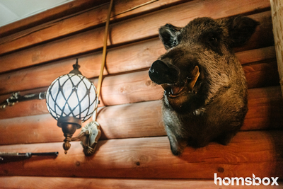 Эксклюзивный отдых в банном комплексе «Crazy веник» со скидкой 50%!