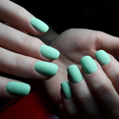 Салон красоты Ежевика в Туле