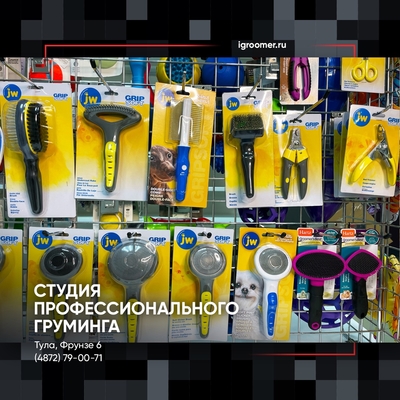 Груминг на фрунзе