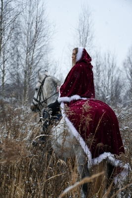Незабываемые прогулки на лошадях со скидкой до 50% от частной конюшни «Ворожба» Незабываемые прогулки на лошадях со скидкой до 50% от частной конюшни «Ворожба»