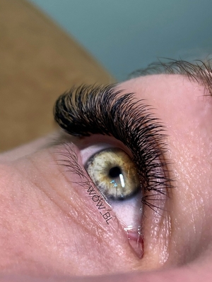Услуги для ресниц и бровей в студии красоты «WOW BEAUTY LASHES» со скидкой до 50%! Услуги для ресниц и бровей в студии красоты «WOW BEAUTY LASHES» со скидкой до 50%!