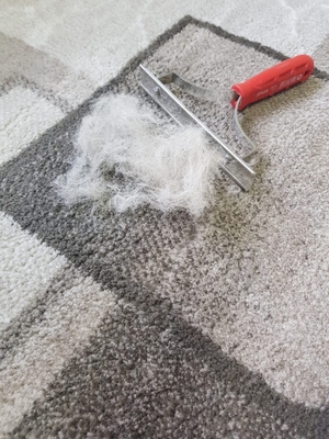 Клининговые услуги и стирка ковров в цеху со скидкой до 30% от «Клининг 71» ! Клининговые услуги и стирка ковров в цеху со скидкой до 30% от «Клининг 71» !