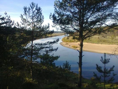 Отдых в загородном комплексе «Айсберг Угры» со скидкой до 60%!