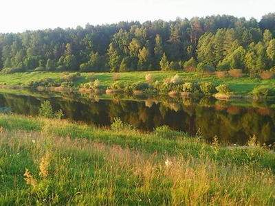 Отдых в загородном комплексе «Айсберг Угры» со скидкой до 60%!